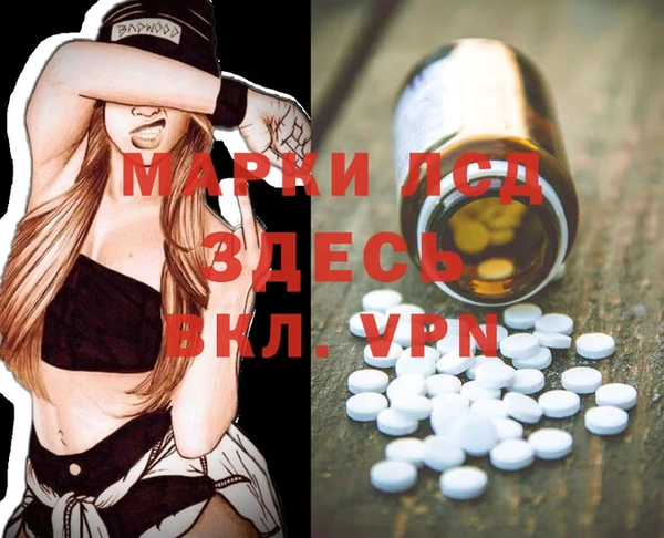 гидропоника Бородино