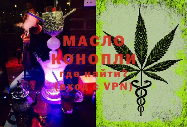 индика Володарск