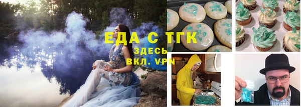 индика Володарск
