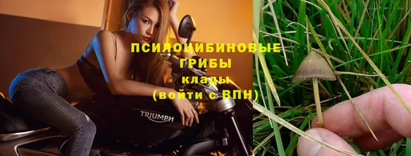 молекула духа Волосово